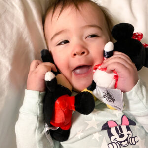 Mickey and Minnie Mouse Disney Wishables toys